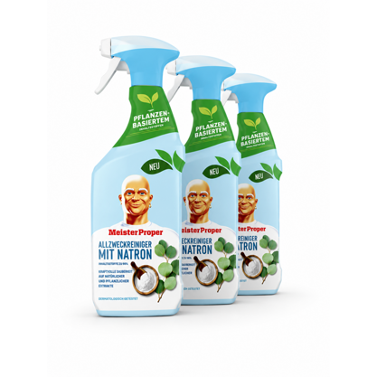 Meister Proper Allzweckreiniger Spray Eucalyptus 3x800ml