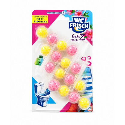 WC Frisch WC Stein Kraft Aktiv GenZ 4x50g