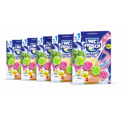 WC Frisch WC Stein Kraft Aktiv Hawaii 5x50g