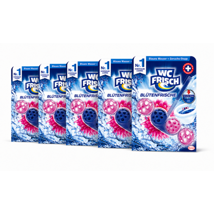 WC Frisch WC Stein Kraft Aktiv Blütenfrische 5x50g