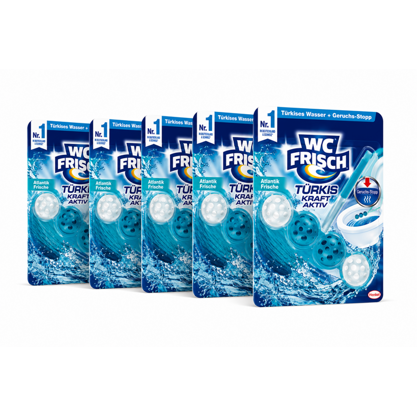 WC Frisch WC Stein Kraft Aktiv Meeresfrische 5x50g