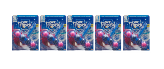 WC Frisch WC Stein Kraft Aktiv Blütenfrische 5x50g