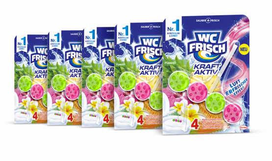 WC Frisch WC Stein Kraft Aktiv Hawaii 5x50g
