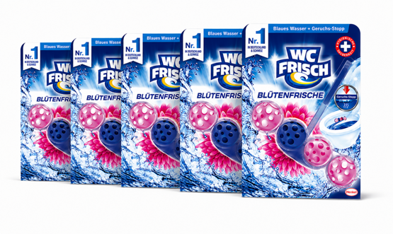WC Frisch WC Stein Kraft Aktiv Blütenfrische 5x50g
