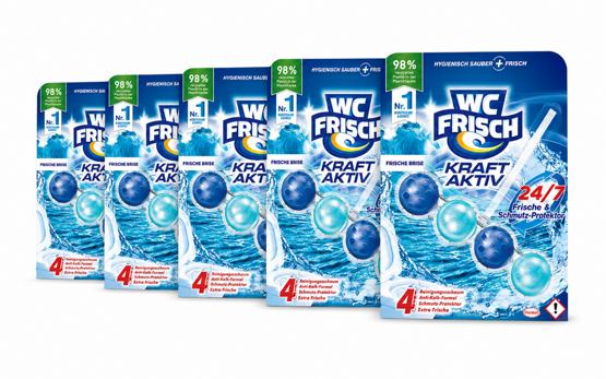 WC Frisch WC Stein Kraft Aktiv Frische Brise 5x50g