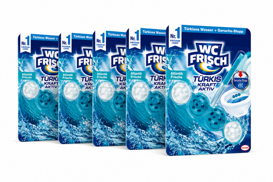 WC Frisch WC Stein Kraft Aktiv Meeresfrische 5x50g